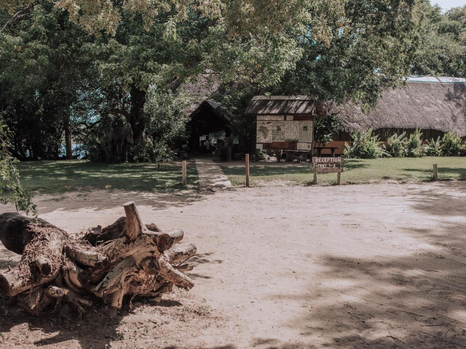Ndhovu Safari Lodge Mahango Esterno foto